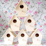 Mini Wooden Birdhouses