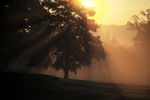 winter tree fog sunrise canon golfcourse arkansas sunrays hdr northlittlerock myst ef28135mmf3556isusm eos5dmkii
