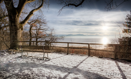 winter light shadow sky panorama sun sunlight white lake snow mountains alps cold tree clouds bench landscape bavaria wooden scenery frost quiet view bright outdoor empty scenic calm chiemsee balustrade