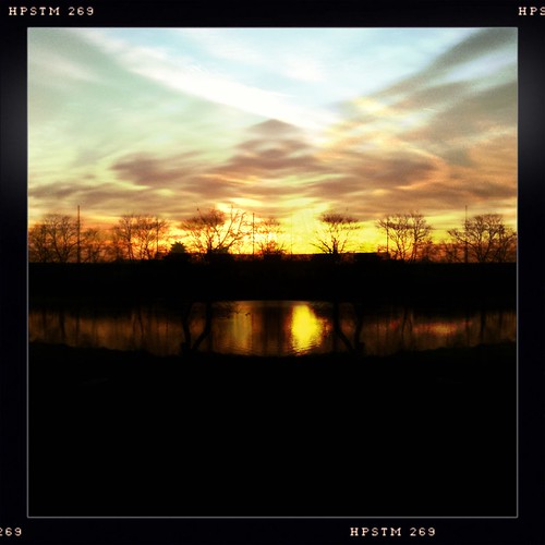 morning trees yellow sunrise pond iphone iphonography hipstamatic salvador84lens