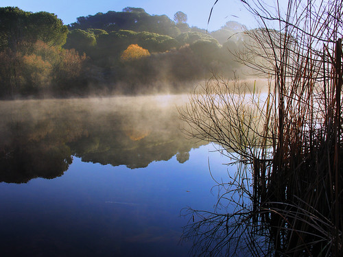 azul lago agua paisaje reflejo laguna neblina niebla