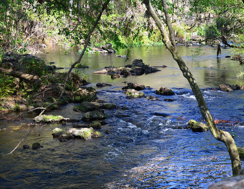 park 2 two water river state florida fresh class trail rapid hillsborough thonotosassa