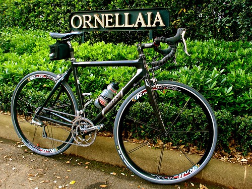 Cycling Tuscany / Ornellaia Wine