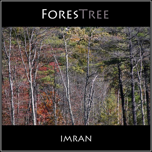 travel trees red green fall nature outdoors nikon october scenery colorful seasons framed tranquility foliage imran 2010 d300 imrananwar