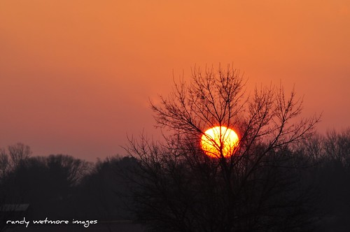 morning tree sunrise nikon branches iowa d90