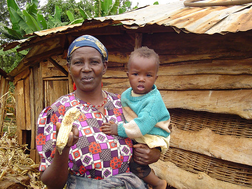 Grandmother and child with maize ears damaged by stem borers, Kenya