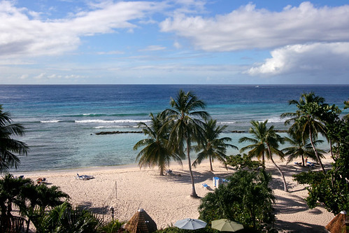 ocean trees beach church court hotel christ coconut january palm resort barbados caribbean hastings 2011