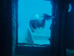 Swimming out of the wreck Image