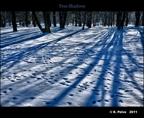 park trees winter snow zeiss 35mm prague tripod january saturday sunny carl czechrepublic gitzo distagon zf 2011 lidice nikond700