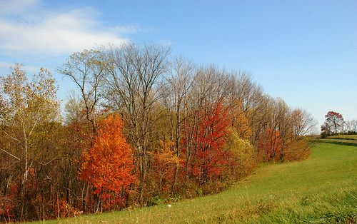 autumn color fall landscape