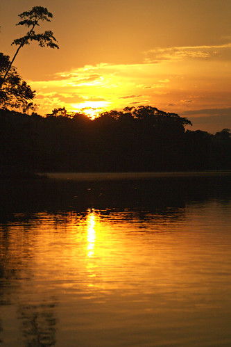 sunset lake ecuador amazonas laselva junglelodge