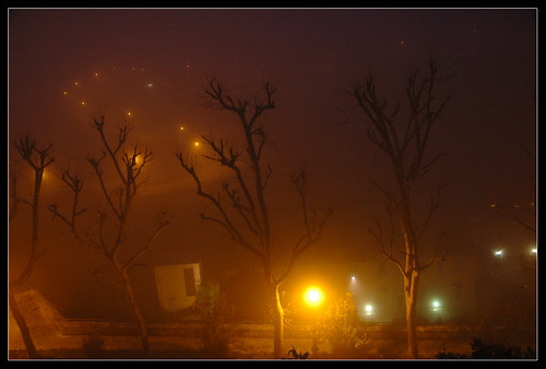 fog alberi night tetti nebbia notte lampioni lungocastellano