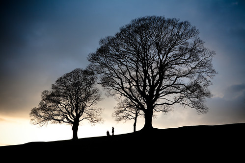 trees people tree silhouette canon landscape eos bath hill 5d canoneos5d posted:to=tumblr file:name=110329eos5d5079