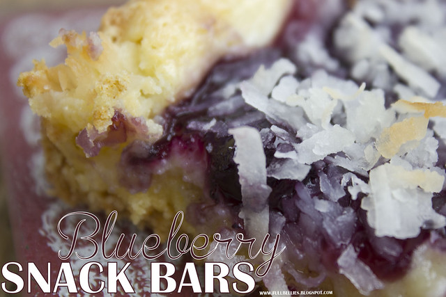 Blueberry Snack Bars