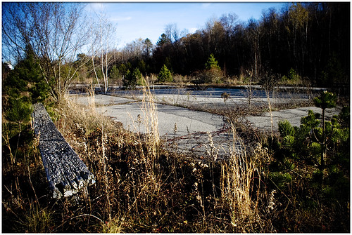 abandoned overgrown basketball court bench pennsylvania pa centralia naturetakingover anthracitecoalregion