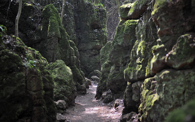 Open-air Caves At Puzzlewood
