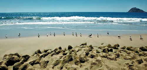 ocean sea seascape beach birds mexico rocks waves horizon mazatlan