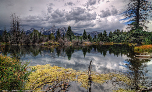 mountain storm water clouds forest reflections river landscape nationalpark nikon rockymountain rockymountains wyoming grandtetonnationalpark d300 schwabacherslanding grandtetonnationalparkwyoming landscapelovers