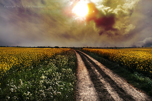 road sunset field yellow photography spring rape lincolnshire lane footpath pathway rapeseed jlm flickrchallengegroup flickrchallengewinner greatbritishlandscapes jlmphotography