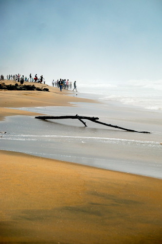 wood sea people beach driftwood monsoon twig rough float calicut kozhikode superaplus aplusphoto