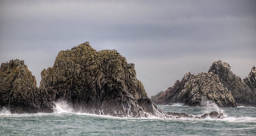 sea nature birds rocks waves cliffs rough splash gannets splashing aldernmey