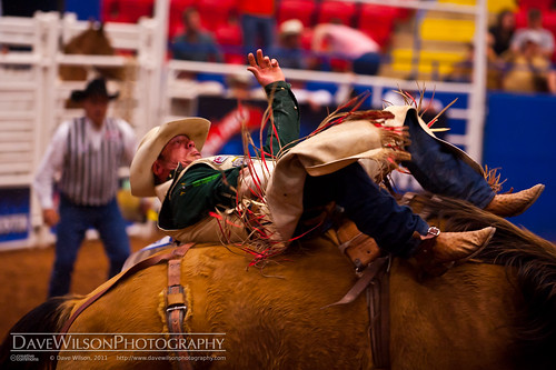 horse austin bareback texas tx rodeo bronco rider rodeoaustin