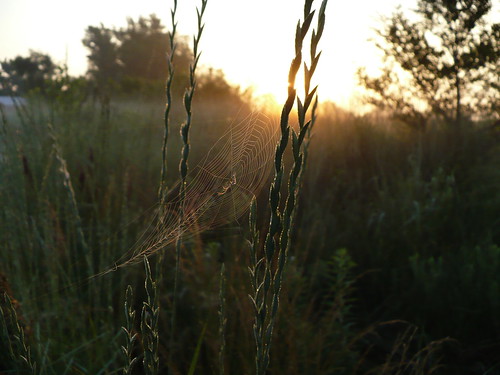architecture sunrise landscape spider midwest nebraska web