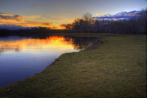 park lake sunrise montana ducks josephine riverfront billings