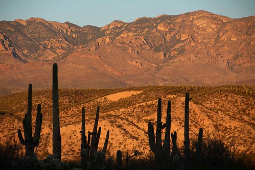 arizona usa mountains cacti landscapes flickr desert unitedstatesofamerica sunsets gps 2011 panoramio saguarocactuscarnegieagigantea camcanonrebelt3i