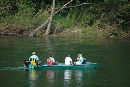 fishing whiteriver trout phikappatau phitau arkansastroutfest242011
