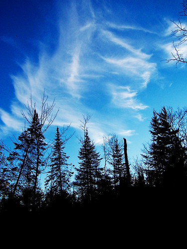 sky cloud woods