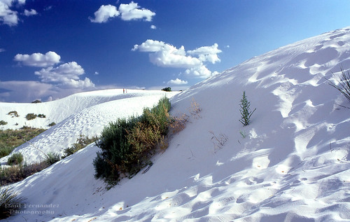 newmexico nationalpark whitesands dunes gypsum nationalmonument whitesandsnationalmonument selenite