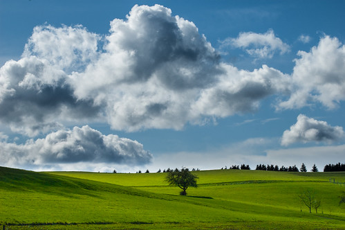 sky clouds germany landscape deutschland spring wiese himmel wolken grassland landschaft frühling rheinlandpfalz nentershausen
