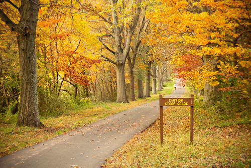 park autumn trees usa fall nature colors leaves forest woods state pennsylvania path foliage pa trail newtown bucks buckscounty 2010 northhampton tylerpark dcnr oktober2010