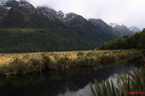 newzealand lake mountains reflection water mirror mirrorlake otago mountainlake waterreflection