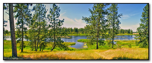nature washington picnic spokane wetlands 4thofjuly independenceday