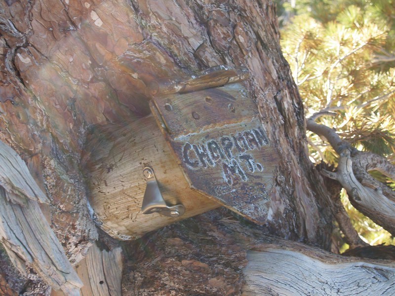 Timber Mountain Register (Chapman Mt is the old name). Nice beer bottle opener!