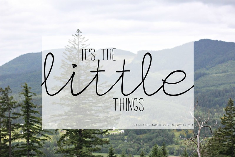 thelittlethings