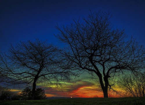 trees sunset canada silhouette canon de university raw quebec université sherbrooke hdr t3i600d