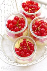 White chocolate and lemon cream with redcurrants