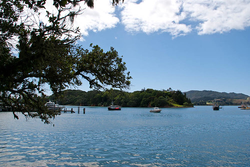 trees sea newzealand sky water clouds boats islands harbour hills nz northisland fishingboats mangonui