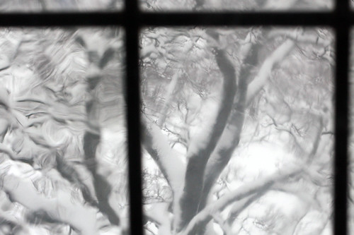 trees snow window view