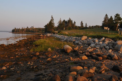 ocean trees sunset canada water rock novascotia atlantic campground provincialpark gravesisland