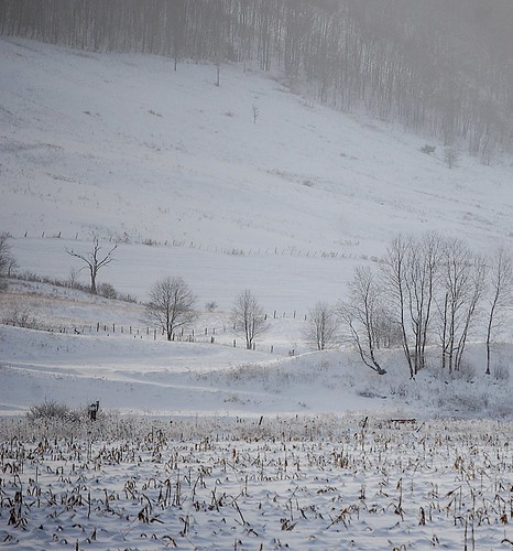 winter snow december upstatenewyork newyorkstate elkcreek schenevus otsegocounty edbrodzinsky