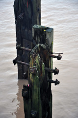 104/365 - Old Piles