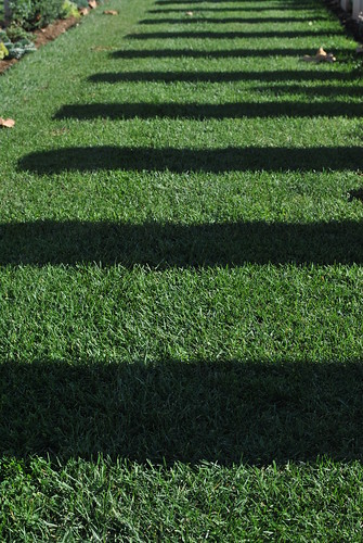 ombre erba bari triggiano cimiterodiguerra
