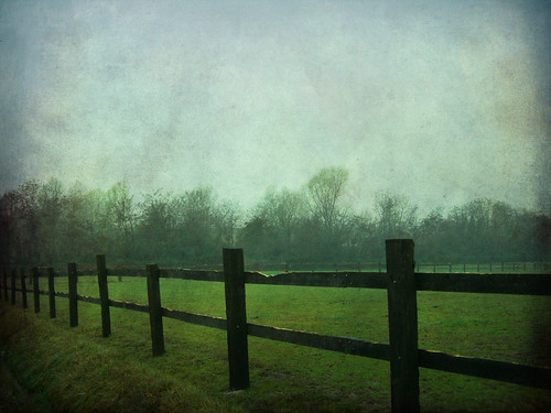 trees green fog fence countryside country friuli friul fraelacco