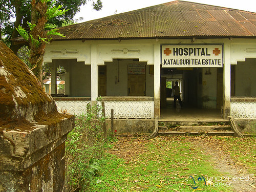 india hospital microcredit teaplantation microfinance westbengal teaestate aes katalguri