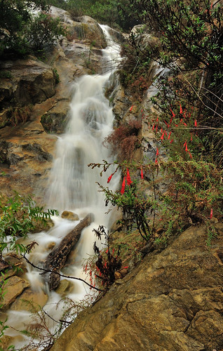 red flower water creek waterfall sandstone stream fuchsia cascade californiafuchsia dsc0021b