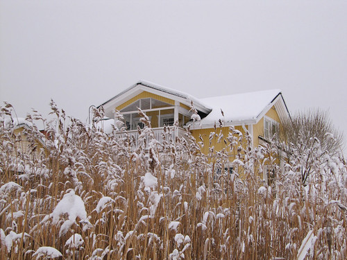 winter house lake snow suomi finland reeds january oulu talo lumi talvi tammikuu kaislat kuivasjärvi